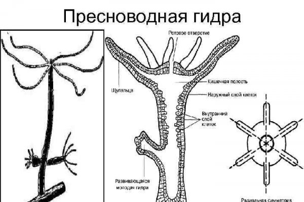 Кракен без впн