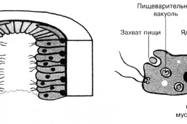 Наркошоп кракен